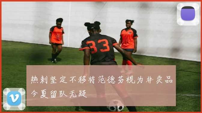 热刺坚定不移将范德芬视为非卖品今夏留队无疑