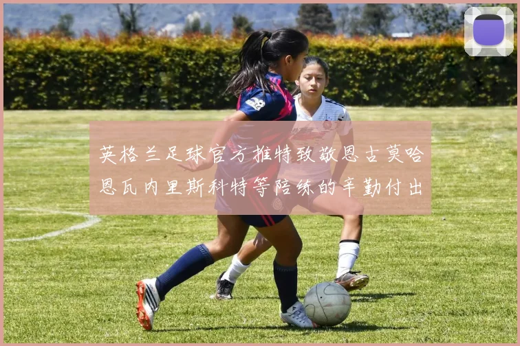英格兰足球官方推特致敬恩古莫哈恩瓦内里斯科特等陪练的辛勤付出